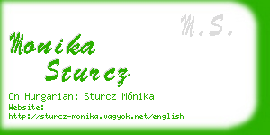 monika sturcz business card